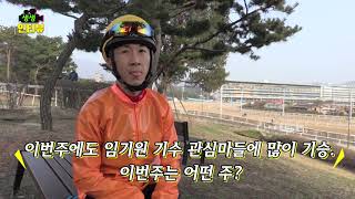 일요일 생생인터뷰 임기원 기수