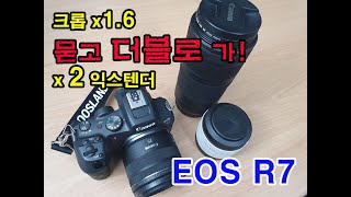 캐논 EOS R7이 주포고, RP는 거들뿐...현 캐논 크롭 미러리스 가성비 원탑.