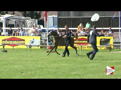 Strohen 2016 - Class 2