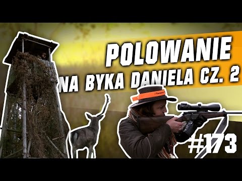 Darz Bór odc. 173 - Polowanie na byka daniela cz2