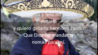 Hermoso cariño Vicente Fernandez con letra)
