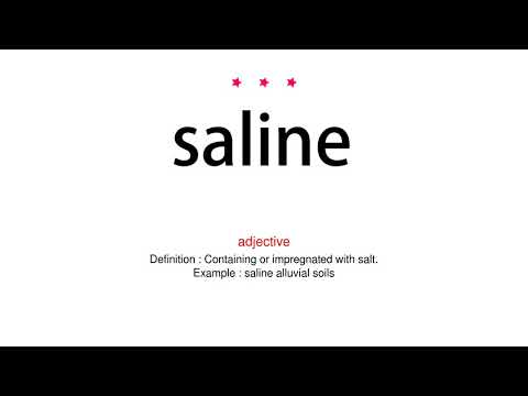 How to pronounce saline - Vocab Today