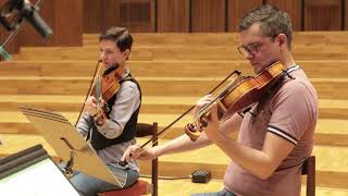 Download lagu Hinterland for Chamber Strings - Raphaël Novarina [By Bratislava Orchestra] mp3