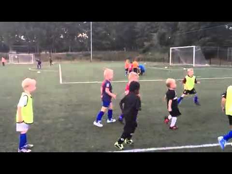 Training 5 BSV Limburgia/Kamerland Mini F