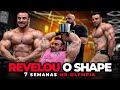 BRANDAO 7 SEMANAS PARA O MR. OLYMPIA | BRAÇOS COM PACHOLOK