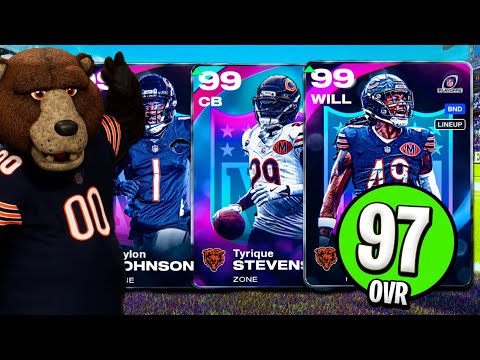 Bears Theme Team