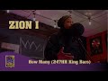 Zion I - "How Many" (247HH King Bars)