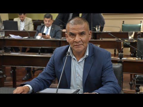 SENADOR DANI NOLASCO - CARTA ORGANICA DE METAN