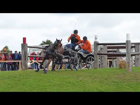 Zaayer, Annegreet 2, NED, CH M P A1, A 2, A 4, Minden GER, Marathon Single Ponies, Ob 7, 19 08 2017