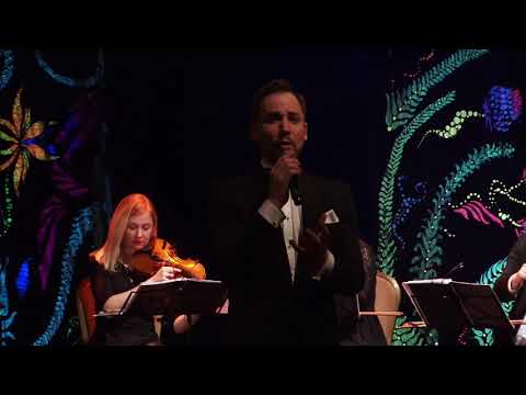 W. A. Mozart Don Giovanni Serenade - Jonas Sakalauskas ir styginių kvartetas Archi Quartett