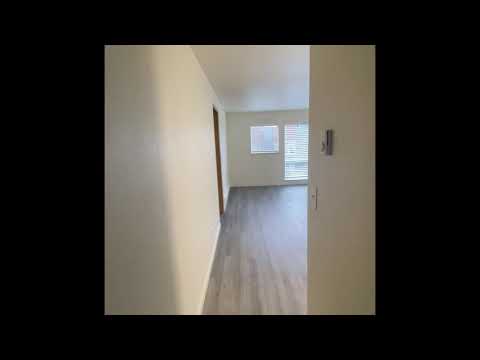 Oak Tree - Video 2 of 2