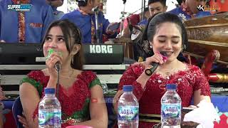 Download lagu PAMBUKO SUPRA NADA - New berkah mulyo - Mahardheka Studio mp3