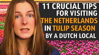 11 CRUCIAL TRAVEL TIPS FOR TULIP SEASON IN THE NETHERLANDS & HOLLAND YOU NEED TO KNOW | LOCAL TIPS!