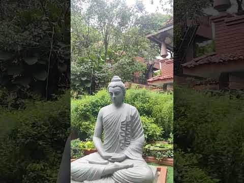 we went to ALANKRITA RESORT!! #music