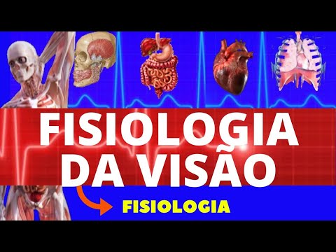 FISIOLOGIA DA VISÃO (FISIOLOGIA DE GUYTON) - FISIOLOGIA VISUAL - FISIOLOGIA HUMANA