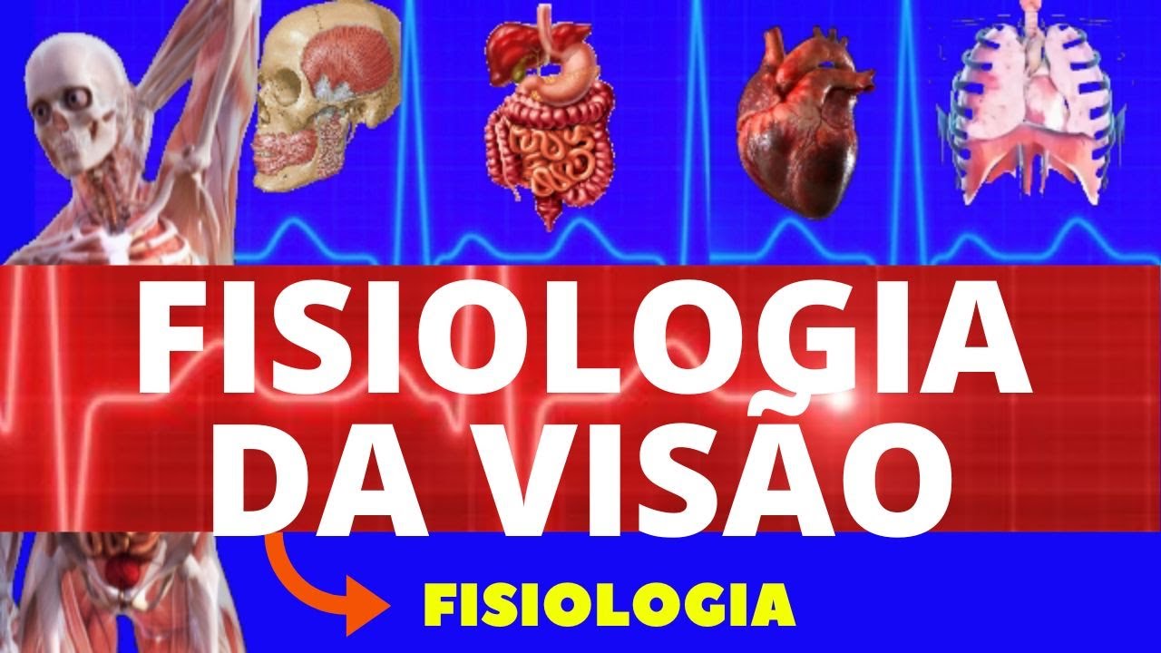 FISIOLOGIA DA VISÃO (FISIOLOGIA DE GUYTON) - FISIOLOGIA VISUAL - FISIOLOGIA HUMANA
