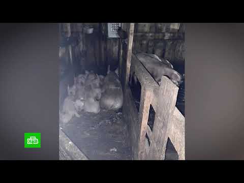 «РАСПЛАТА ЗА УВОЛЬНЕНИЕ»