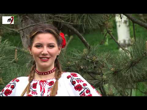Steluta Ciobanu -  Dunare pe apa ta