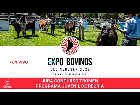 Expo Bovinos 2026. Rural del Neuquén. Concurso Tromen