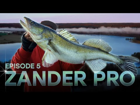 ZANDER PRO 5 - Episode 5