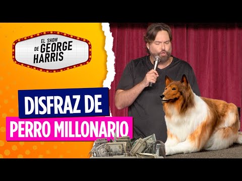 El Show de George Harris 03/08/23 Parte 5 - UN DISFRAZ DE 15 MIL DÓLARES 😱🐶