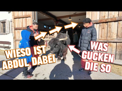 NAYEF ABDUL & ADAM ON AUSTRIA'S BIGGEST FARM | MINI VLOG!! 😂😂