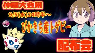 【仲間大会用ポケモン配布】TNぴかきち産トゲピー  配布会【ウルトラサン・ムーン】