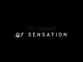 THX Logo Science Of Sensation 7 With Cinema Version
