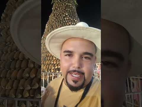 festa do abacaxi pombos Pernambuco