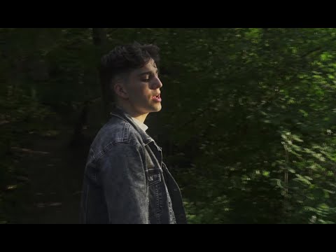 Post Malone - Circles (Cover by Meo)