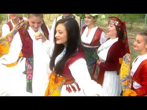 Tone e Mark Gjoka - Vena e Arberit te fal jete