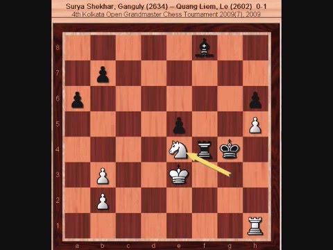 GM Le, Quang Liem 4th Kolkata Open Chess Tourney 2009 part 2/2