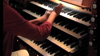 Zsigmond Szathmáry: "BACH". Mari Ohki an der großen Orgel von St. Jakobi, Lübeck