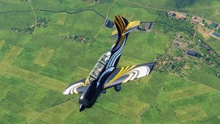 Yak-52 Training0213