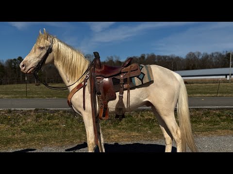 TSP LOT# 2018 - SOLD