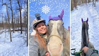 GO PRO HORSEBACK RIDE WITH ME IN THE SNOW || ASMR, Grooming, Tacking Up, Trail Ride