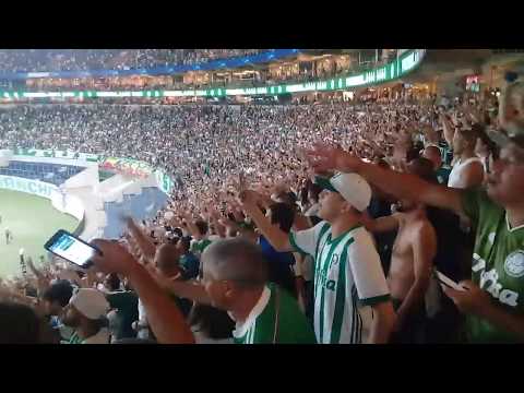 Eu sou Palmeiras, sim senhor!