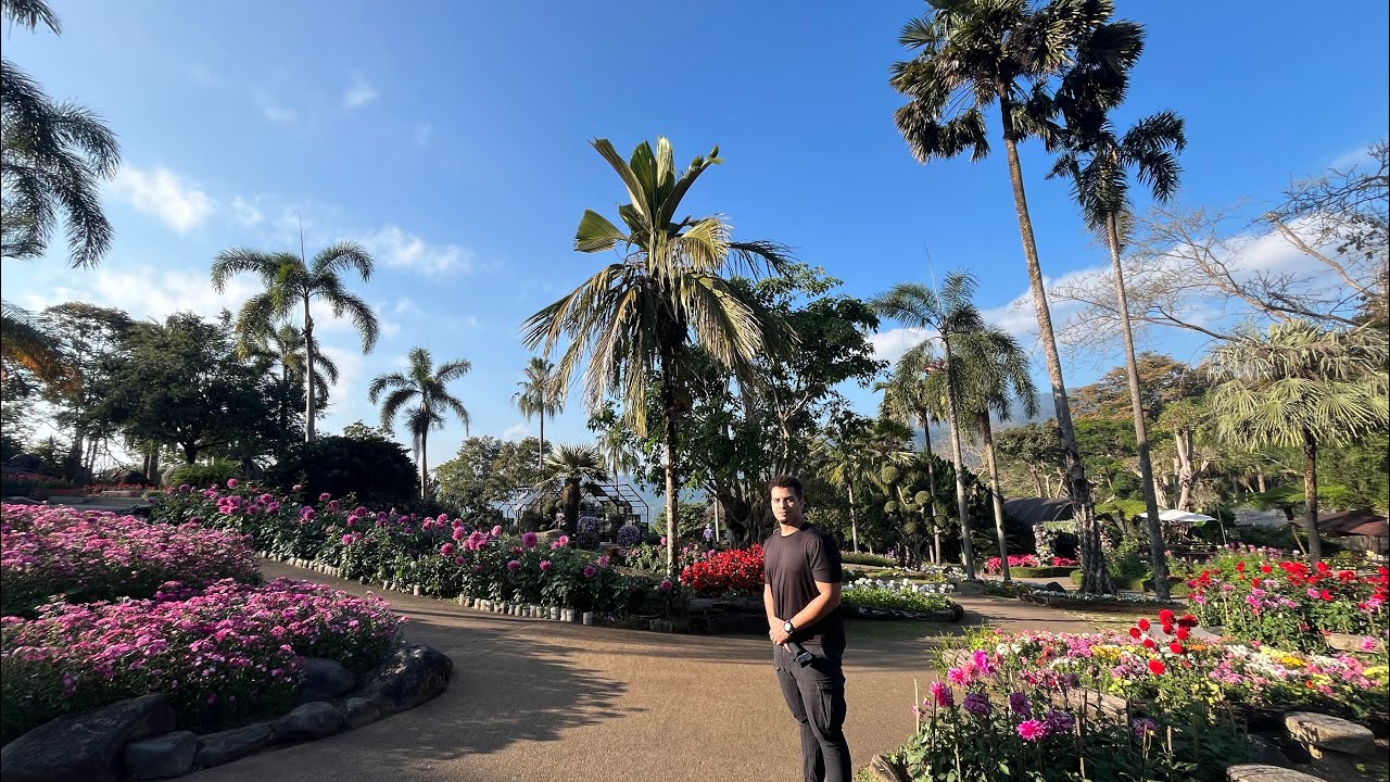 Embark on an enticing virtual stroll through the enchanting Mae Fah Luang Garden.