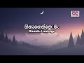 Hinahenne Mung (Nil Nayaniye) | Ranidu - Lyrics video | pada pela