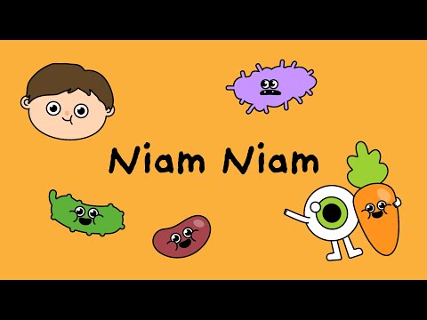 🥦Niam niam 🍅 Edukacinė dainelė | LRT VAIKAI