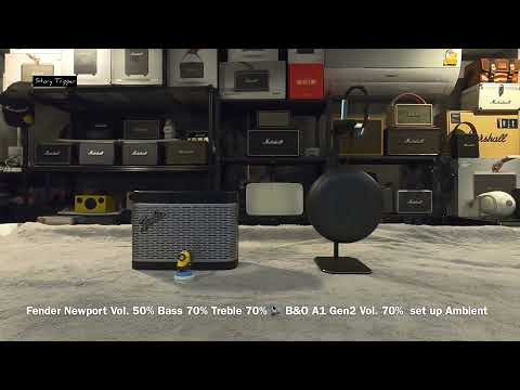 Fender Newport  vs  B&O A1 2nd (Gen2)