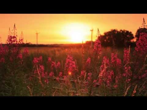 ♫ Yiruma - Stay In Memory V&D