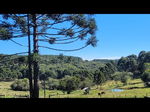 Sitio a venda no Cerrito!!!