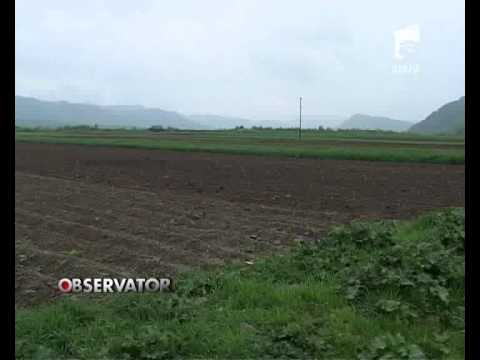 Schimb de experienta la Racovita.flv