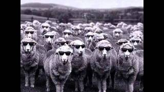 Muse breaks - Infected Mushroom ( Gottinari Remix )