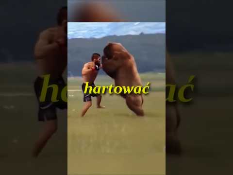 Przetrwałbyś trening u Khabiba? 🤔😱