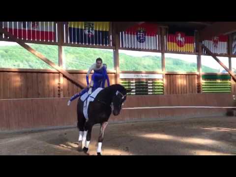 TSG Schönberg Voltigieren DVP 2017 Molzbach