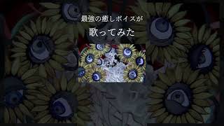 【最強の癒しボイスが】化けの花 Cover / あゑん 【歌ってみた】#shorts