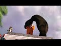 Over The Hedge A Raccoon Rescue