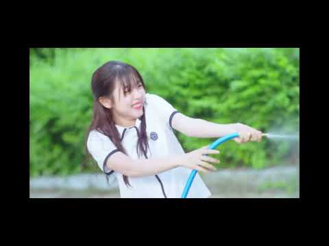 비디오 6